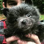 Adrian Turowski - @adrian.turowski - Instagram