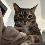 Adrian Tyler Vega - @adriantylervega - Instagram
