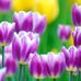 Adrian Underhill - Facebook