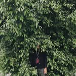Adrianus Danu - @adrianus.danu - Instagram