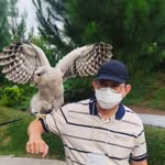 Adrianus Widjaja - @widjajaadrianus - Instagram