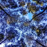 Adrian Utama Photo Gallery - @adrianutamaphoto - Instagram