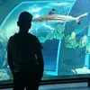 Adrian Valcarcel - @adrii_valca10 - TikTok