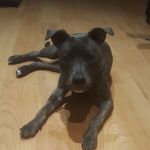 Adrian Valera Craviotto - @adri_gtimk4_nala._ - Instagram