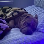 Adrian Valerio - @mrvalerio19 - Instagram