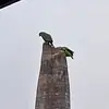 Valles Adrian - @valles.adrian - TikTok