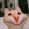 Adrian vic - @adrian.vic84 - TikTok