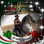 Adrián Vilchis - @vilchis652 - Instagram
