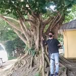 Adrian Villaflor - @adrianvillaflor74 - Instagram