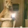 Notificaciones de tiktok - @adrianvindas1263 - TikTok