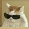 adrianvivanco815 - @adrianvivanco815 - TikTok