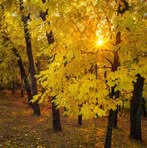Adrian Vlad - Facebook