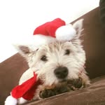 Adrian Walden - @awal010297 - Instagram