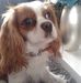 Adrian Walton - Facebook