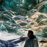 Adrian Wang Widjaja - @adrian_wangwidjaja - Instagram