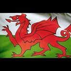 Adrian Warburton - Facebook
