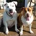 Adrian Wardlow - Facebook