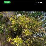 Adrian Warfield - @adrian.warfield.927 - Instagram