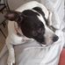 Adrian Warman - Facebook