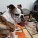 Adrian Warman - Facebook