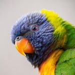 Adrian Warren - @adrianwarren9892 - Instagram