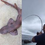 Adrian Warwick - @adrian.warwick.967 - Instagram