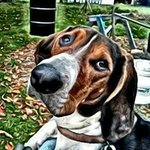Adrian Watson - @sasquatch_furs - Instagram