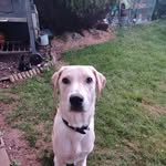 Adrian Watson - @aide.watson - Instagram