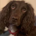 Adrian Waygood - @adrianwaygood - Instagram