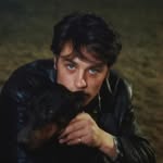 Adrian Wayne - @adrianwayne423 - Instagram