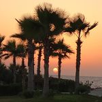 Adrian Webster - @adeweb1968 - Instagram