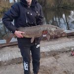 Adrian Wegner - @wegner83753 - Instagram