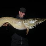Adrian Wegner - @perch_fiske_pdm - Instagram
