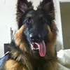 adrianweir - @adrianweir - TikTok