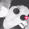 stay lit - @lit_weird_adrian - TikTok