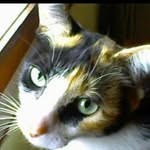Karen Weisman - @weisman_karen_adriana - Instagram