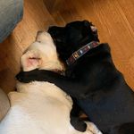 Adrian B Weissman - @buoy_and_tugboat - Instagram