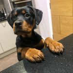 Adrian Welsh - @adrian.welsh.37 - Instagram