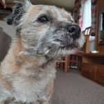 Adrian Whitaker - @adrian.whitaker.796 - Instagram