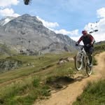 Adi Whitehead - @adrian.whitehead - Instagram