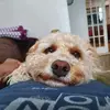 adrianwhitehead11 - @adrianwhitehead11 - TikTok