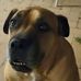 Adrian Whitten - Facebook