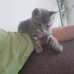 Adrian Wild - @_wild_adrian_ - Instagram