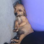 Adrian Wiley - @adrianiwiley - Instagram