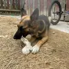 Adrian Wills - @adrian.wills - TikTok