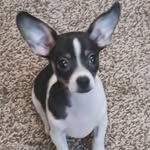 Adrian Willard - @adrian.willard.98 - Instagram