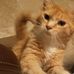 Adrian Winstead - Facebook
