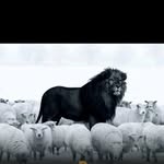 adrian winters - @trapp_milli_ - Instagram