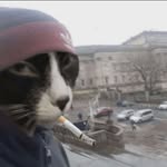 Adrian Wronkowski PRV - @wronekprv - Instagram