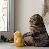 adrian.yam - @adrian.yam - TikTok